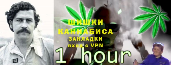 крисы Ельня