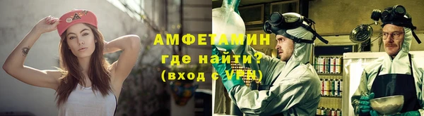 крисы Ельня