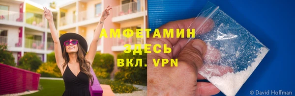крисы Ельня