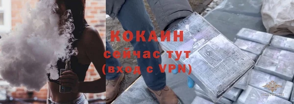 крисы Ельня