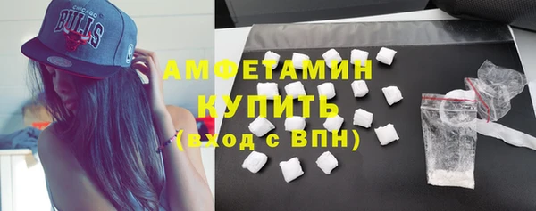крисы Ельня