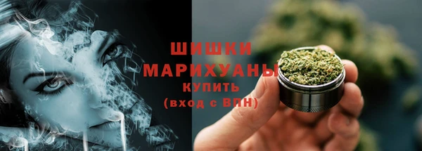 крисы Ельня