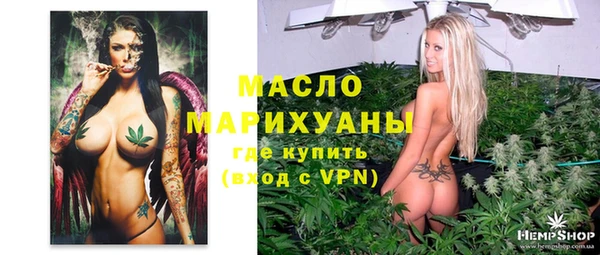 крисы Ельня