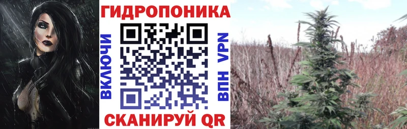 Каннабис LSD WEED  цена наркотик  Катайск 